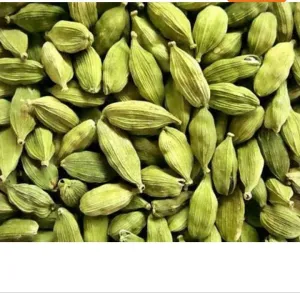 Elachi 10g