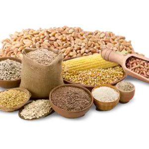 Grains, Pulses & Flours