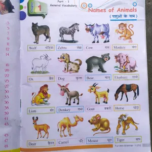 710 Class ukg , English , topic : Name of Animals