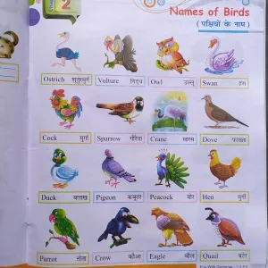 1408 Class one , English , topic : Name of birds
