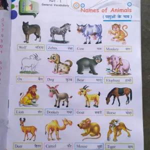 1407 Class one , English , topic : Name of Animals