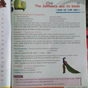 Class 4 Grammar : The Sentence