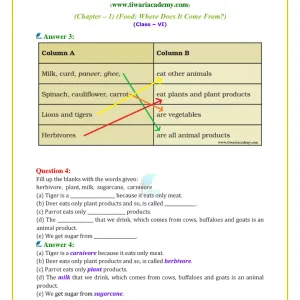 5002 Class 6 ncert science food:- where does it come from
