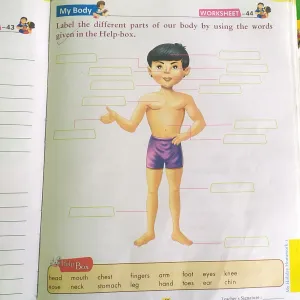 709 Class Ukg , English , Part of the body