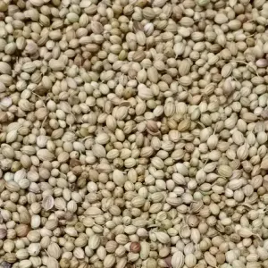 DHANIYALU
