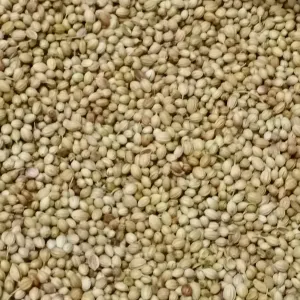 DHANIYALU