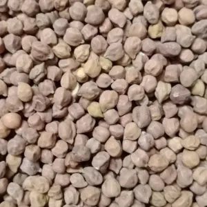 Black Chana Dall