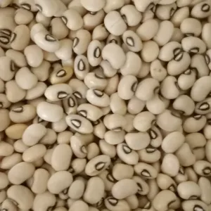Junuvulu