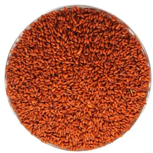 Halim / Aliv (Cress Seeds)