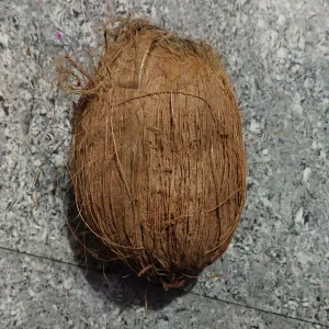 नारियल 