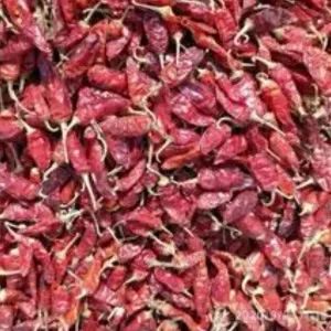 लाल साबत मिर्च ( 1 किलोग्राम )