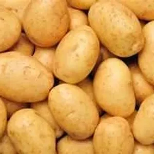 POTATO BABY