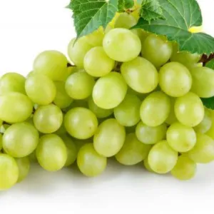 Grapes (अंगूर)