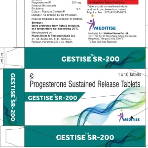 Gestise-SR