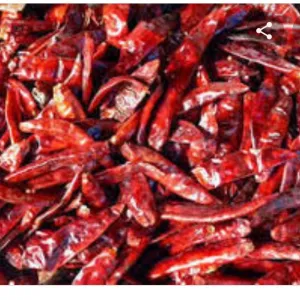 Endu mirchi