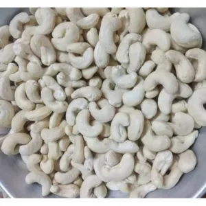 Cashew 240 