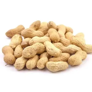 Groundnut 