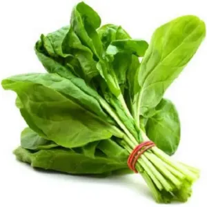 Palak 