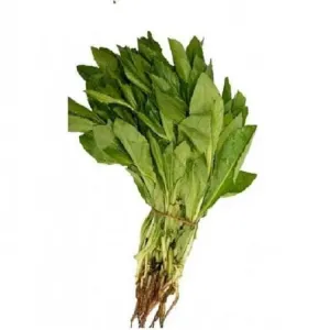 Karadi