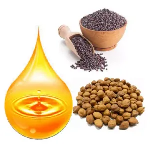 OIL & GROCERY (ખાદ્યતેલ અને કરિયાણું)