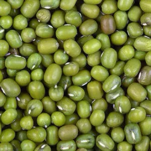 MUNG (લીલા મગ - કઠોળ,હાથ વિણાટ શુદ્ધ)
