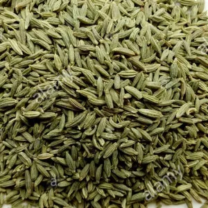Fennel 100 g