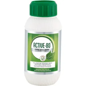 Active 80