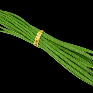 शेम फली {Drumstick}