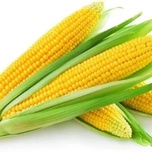 भुट्टे की की कणी {Sweet Corn}

4 Piece

