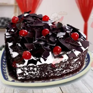 Chocolate vanilla cake