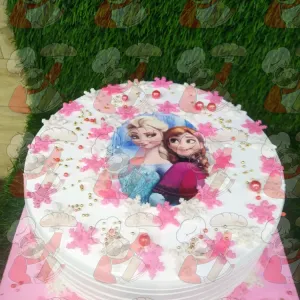 Frozen Elsa photo cake