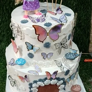 2 tier butterfly cake 