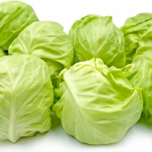 Cabbage