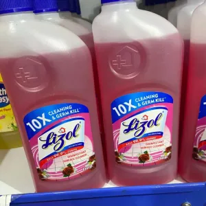 Lizol germ kill