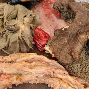Bawng Sung (intestine, blanket, lungs) for pre order only