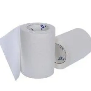 Toilet Roll Paseo