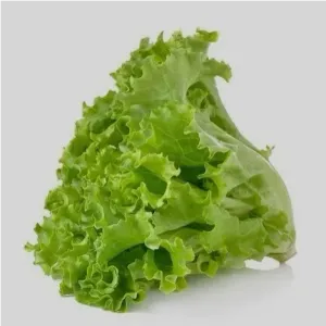 Lettuce