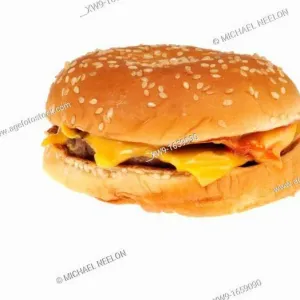 Chicken Double Cheese Burger