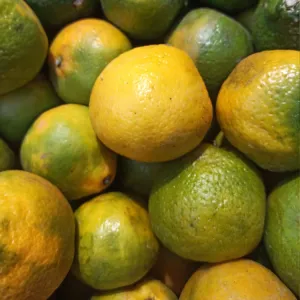 Orange Nagpur