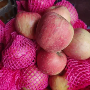 सेब फ़ूजी (Apple fuji)