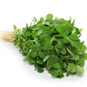 Methi 