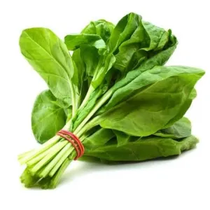 Palak (Spanish)