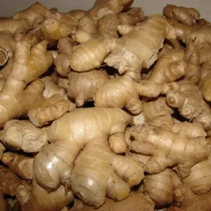Ginger