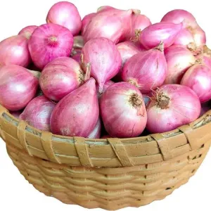 Onion