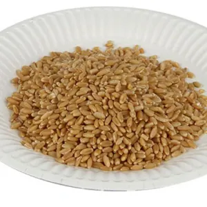 ORGANIC WHOLE WHEAT 1KG