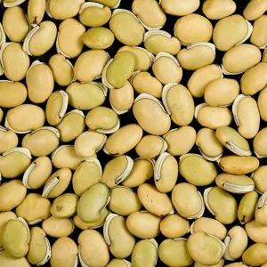 MOCHAI / BEANS 250GMS