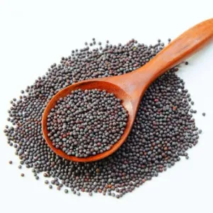 MUSTARD BLACK 100GMS