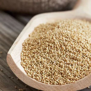 AMARANTH SEEDS / RAJGIRA 500GM