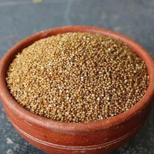 VARAGU RICE/KODO MILLET RICE 500GMS