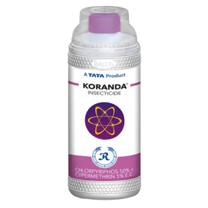 KORONDA 505 (CHLORPYRIPHOS 50% + CYPERMETHRIN5%EC)